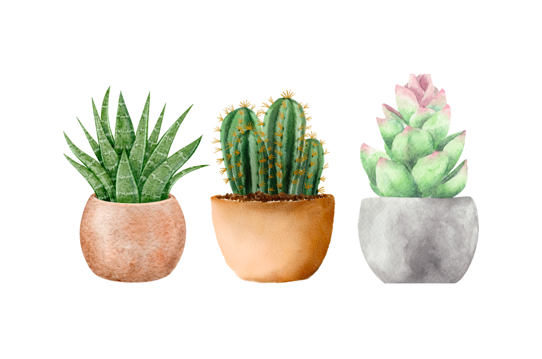 Handwritten Card & Message